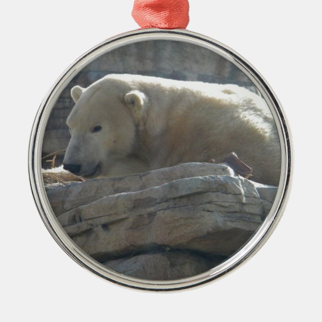 Enfeite Redondo Premium de Vida Selvagem Urso Pola (Frente)