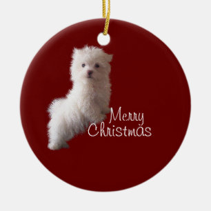 Enfeite Vermelho de Cachorrinho Maltês