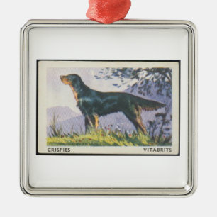Enfeite Vintage Setter Gordon