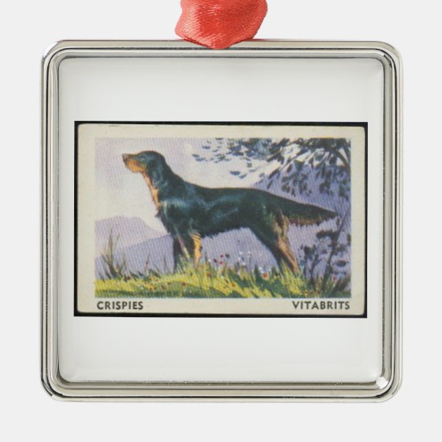 Enfeite Vintage Setter Gordon (Frente)