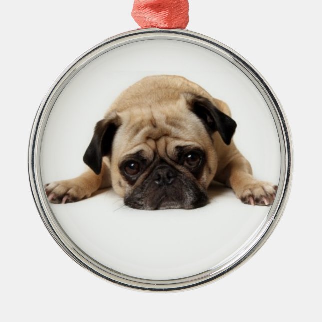 Enfeites de natal 2 do Pug (Frente)
