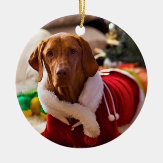 Enfeites de natal (azevinho) (Frente)