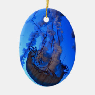 Enfeites de natal azuis das medusa