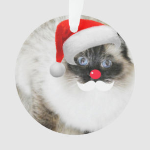 Enfeites de natal bonitos do gato do papai noel de