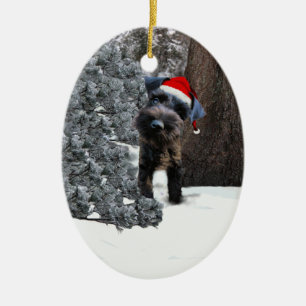Enfeites de natal bonitos do Schnauzer diminuto