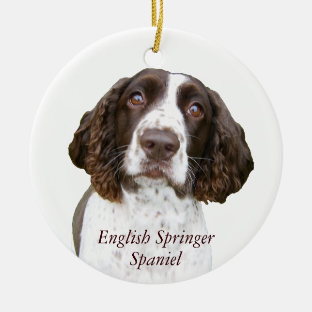 Enfeites de natal bonitos do Spaniel de Springer (Frente)