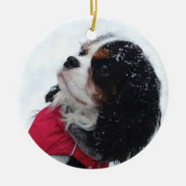 Enfeites de natal Cavalier King Charles Spaniel