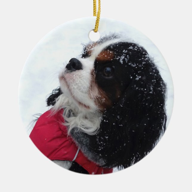 Enfeites de natal Cavalier King Charles Spaniel (Frente)