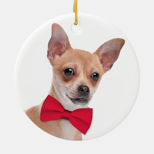 Enfeites de natal Chihuahua (Traseira)
