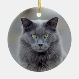 Enfeites de natal cinzentos do gato