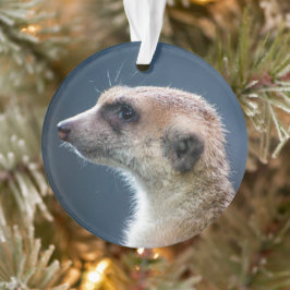 Enfeites de natal Circular Meerkat