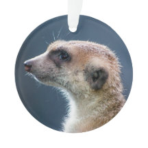 Enfeites de natal Circular Meerkat