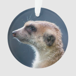 Enfeites de natal Circular Meerkat