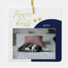 Enfeites de Natal com Foto para Memorial de Pet Pr