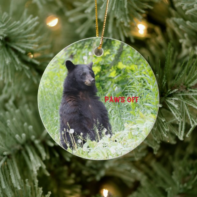 Enfeites de natal com urso preto (Árvore)