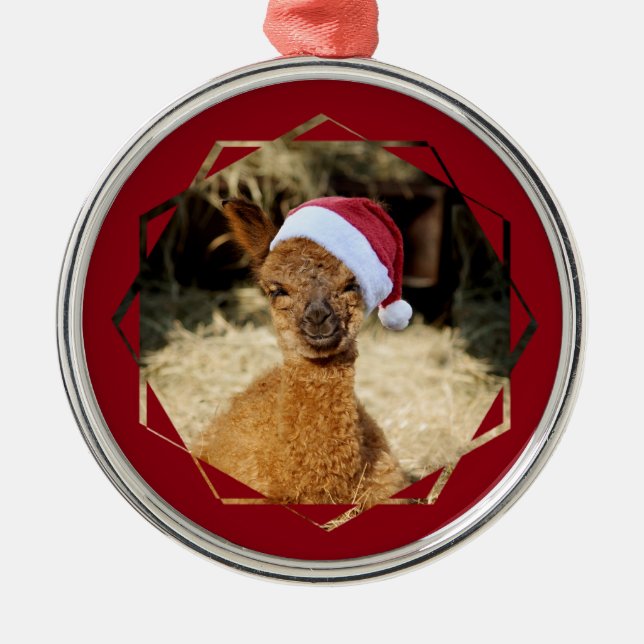 Enfeites de natal da alpaca (Frente)