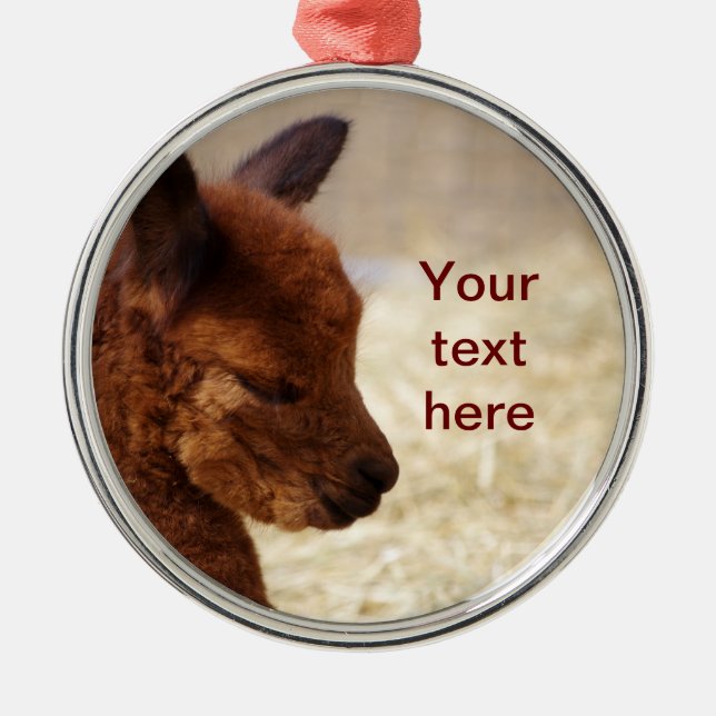 Enfeites de natal da alpaca do bebê (Frente)