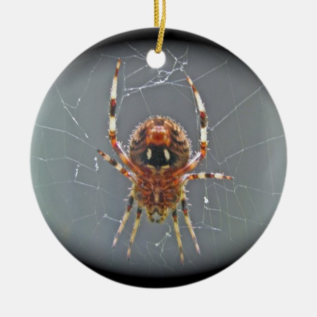 Enfeites de natal da aranha do tecelão da esfera (Frente)