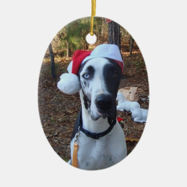 Enfeites de natal da escavadora (Frente)