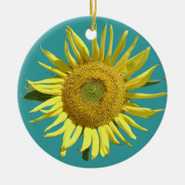 Enfeites de natal da esperança - redondos