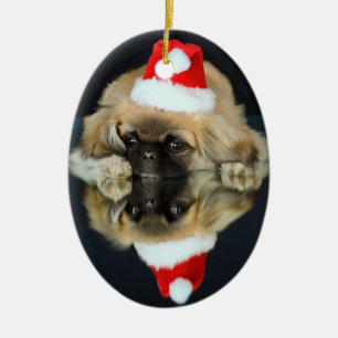 Enfeites de natal da foto de Pekingese