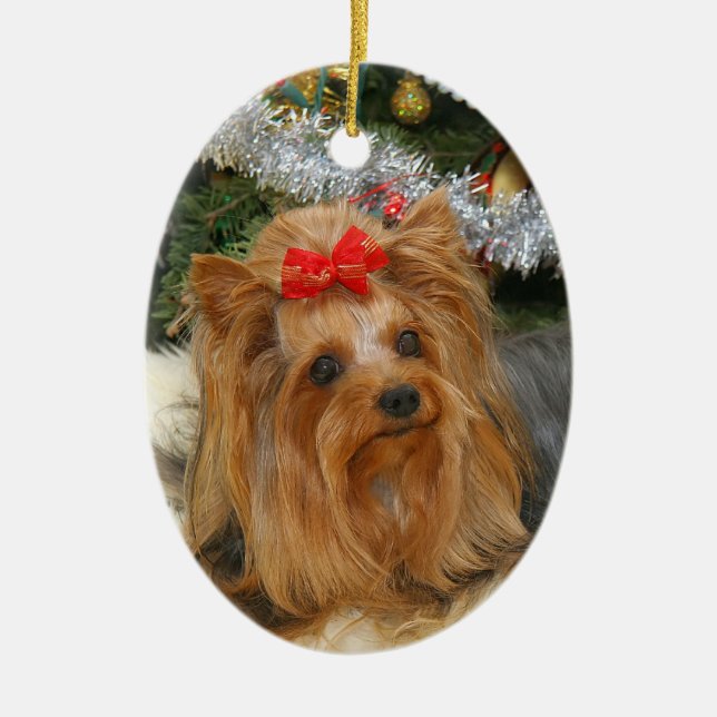 Enfeites de natal da foto de Yorkie (Frente)