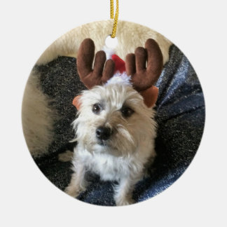 Enfeites de natal da "rena" de Terrier de monte de