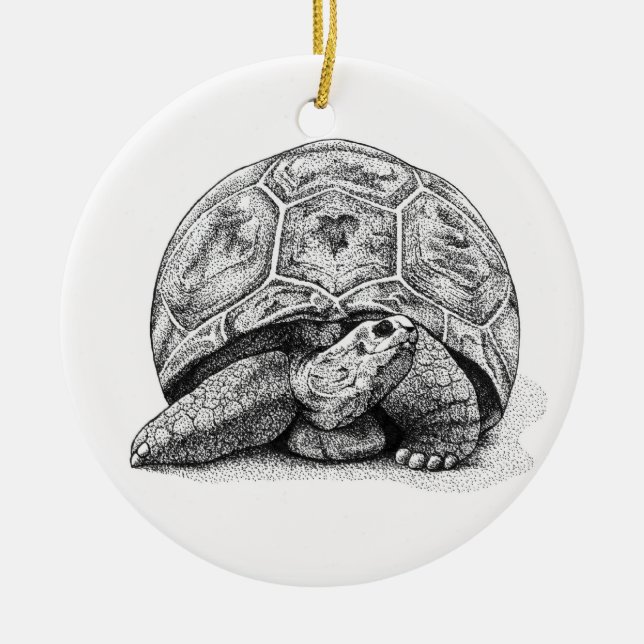 Enfeites de natal da tartaruga da caneta e da (Frente)