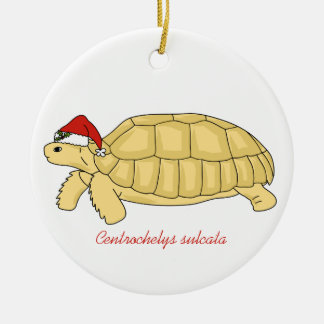 Enfeites de natal da tartaruga de Sulcata