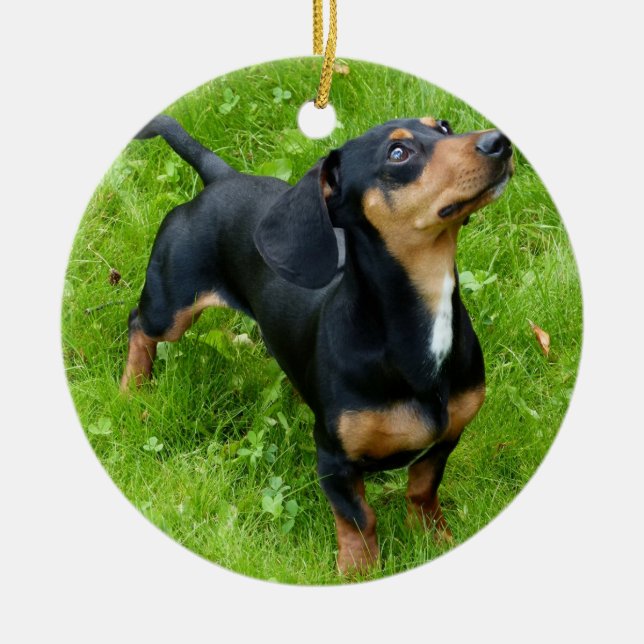 Enfeites de natal Dachshund Com Sua Foto (Frente)