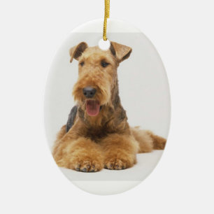Enfeites de natal de Airedale Terrier