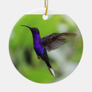 Enfeites de natal de beija-flor