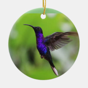 Enfeites de natal de beija-flor-roxa