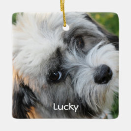 Enfeites de natal De Cães Foto Cerâmica Quadrada