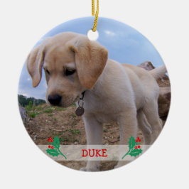 Enfeites de natal de cães Foto personalizada