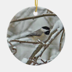 Enfeites de natal de Chickadee Preto