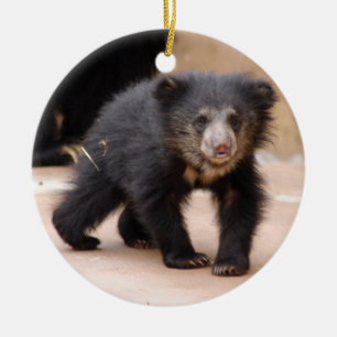 Enfeites de natal de Cub de urso da preguiça