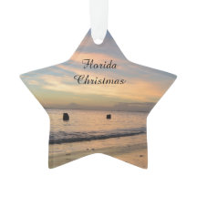 Enfeites de natal de Florida