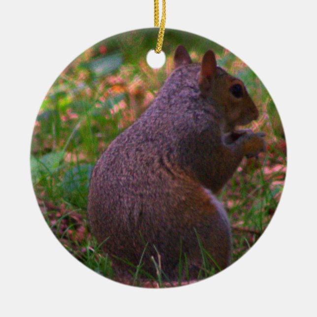 Enfeites de natal de Foto de Esquilo (Frente)