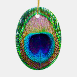 Enfeites de natal de Fotografia de Pavock Feather