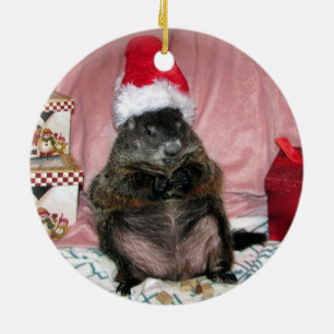 Enfeites de natal de Groundhog do animal de