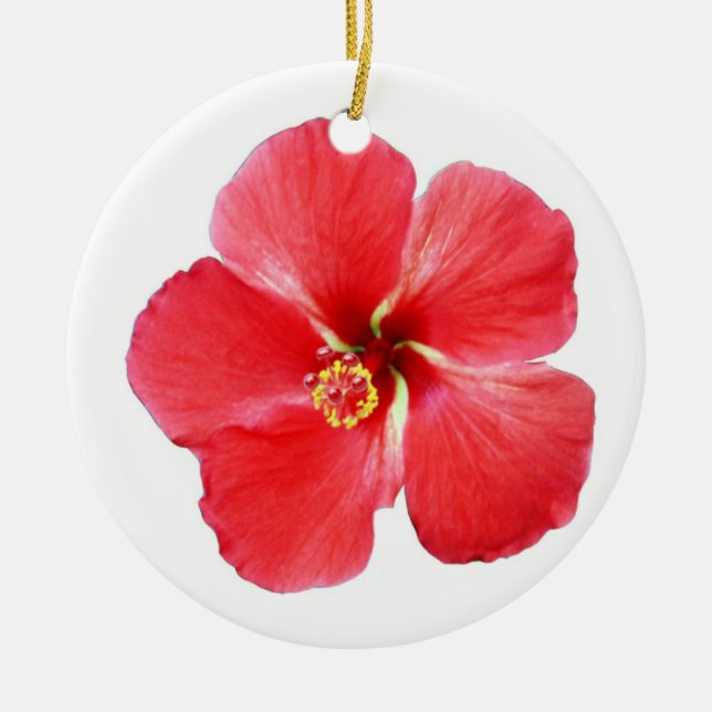 Enfeites de natal de Hibiscus Tropical (Frente)