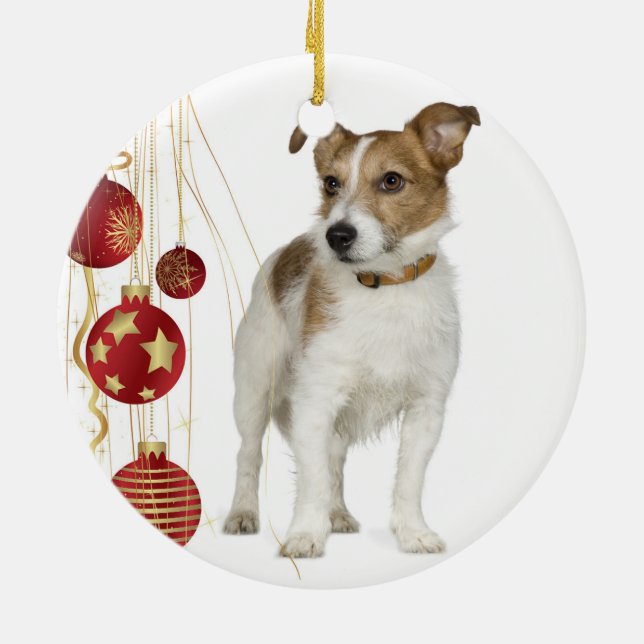 Enfeites de natal de Jack Russell (Traseira)