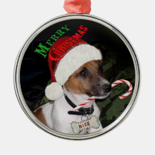 Enfeites de natal de Jack Russell Terrier