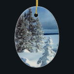 Enfeites de natal de modelo de foto de inverno<br><div class="desc">Enfeites de natal do Modelo de Foto de inverno - Visite o ArtísticoPoStage. Todos esses selos sazonais são carimbos de postagem reais, personalizáveis e personalizáveis do Serviço Postal dos Estados Unidos (USPS). Também fazem presentes de excelente para a época de Natal e de férias. Clique em qualquer um dos carimbos...</div>