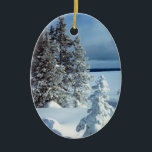 Enfeites de natal de modelo de foto de inverno<br><div class="desc">Enfeites de natal do Modelo de Foto de inverno - Visite o ArtísticoPoStage. Todos esses selos sazonais são carimbos de postagem reais, personalizáveis e personalizáveis do Serviço Postal dos Estados Unidos (USPS). Também fazem presentes de excelente para a época de Natal e de férias. Clique em qualquer um dos carimbos...</div>