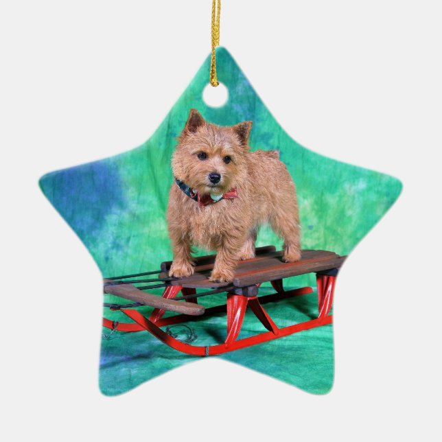 Enfeites de natal de Norwich Terrier (Frente)