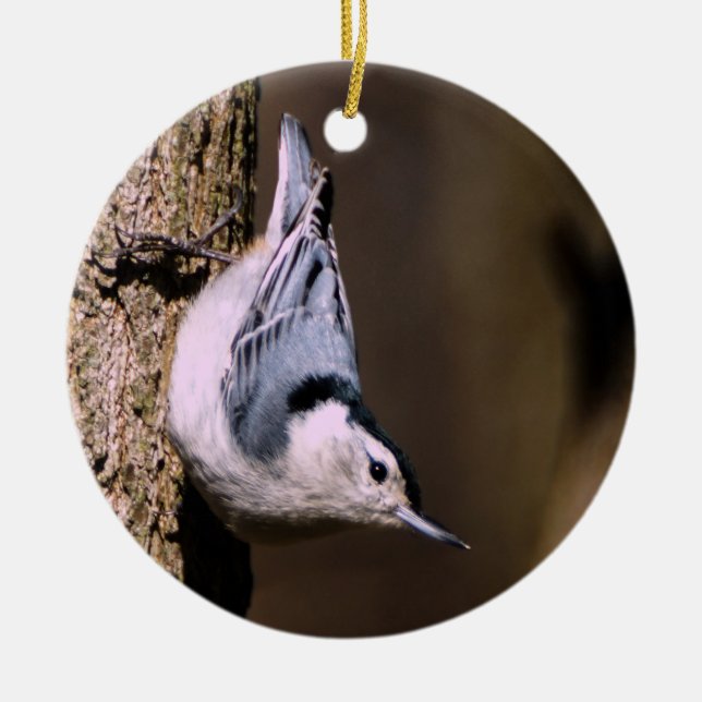 Enfeites de natal de Nuthatch de resma branco (Frente)