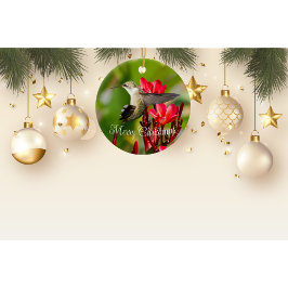 Enfeites de natal de passarinho