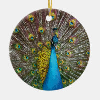 Enfeites de natal de Peacock Ortoado